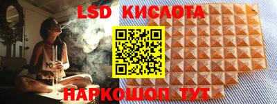 гидропоника Гусев