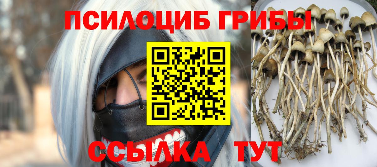 Галлюциногенные грибы MAGIC MUSHROOMS Нижнекамск