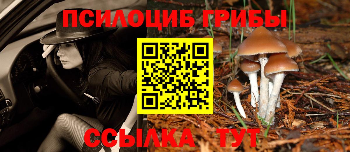 Нижнекамск  Псилоцибиновые грибы мухоморы  что такое   Вход с VPN 